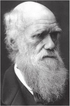 darwin