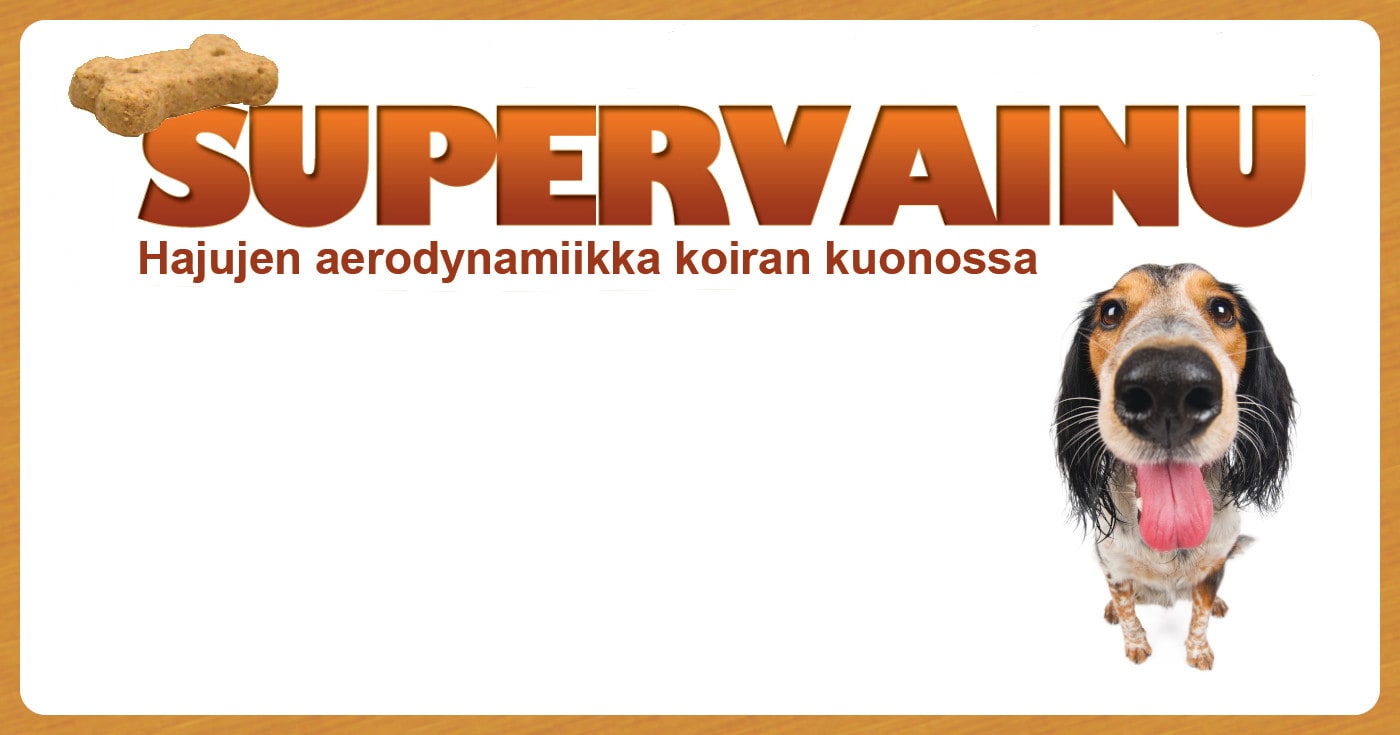 Teksti 'Supervainu - Hajujen aerodynamiikka koiran kuonossa', vasemmalla koirankeksi ja oikealla koira. Kuva ©: Koira: Stockphoto/shevvers; Keksi: stock.xchng