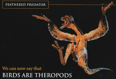 Teropodidinosaurus. Kuva ©: National Geographic