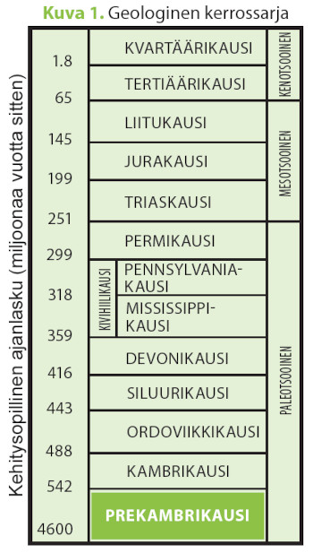 Geologinen kerrossarja kehitysopillisen ajanlaskun mukaan. Kuva ©: creation.com
