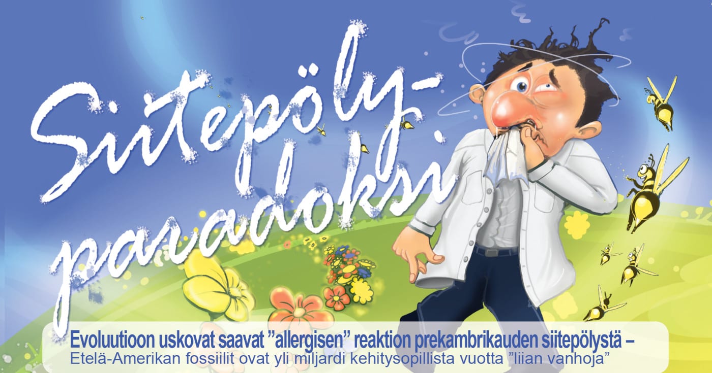 Piirretty kuva miehestä, joka pitelee nenäänsä. Lisäksi mehiläisiä ja kukkia, sekä teksti 'Siitepölyparadoksi'. Piirros ©: Caleb Salisbury