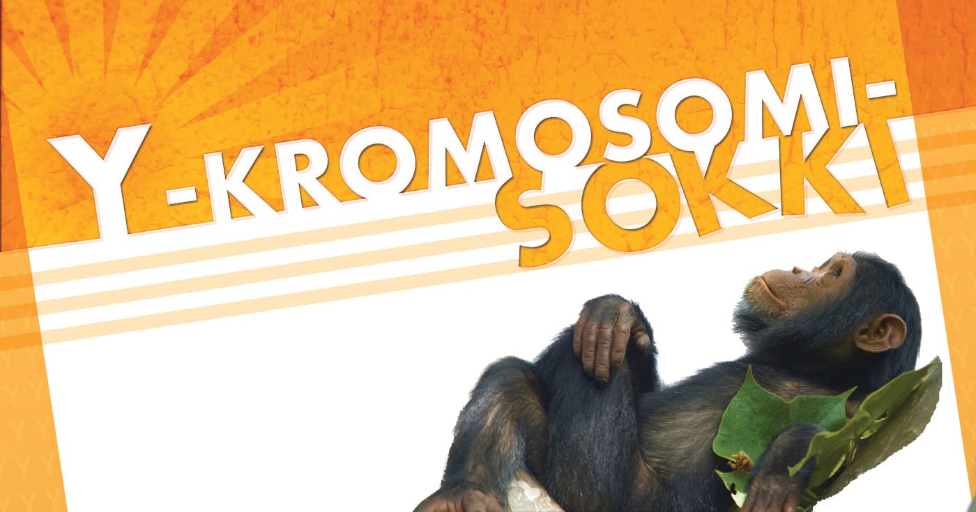Makoileva apina kuva alaosassa, yläosassa teksti Y-kromosomisokki. Kuva ©: creation.com