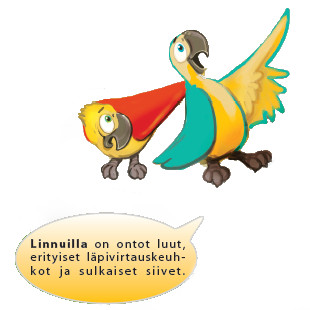 Kaksi papukaijaa. Kuva ©: creation.com