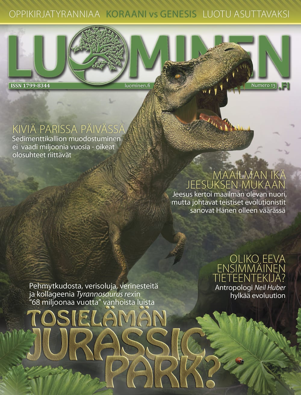 Luominen 13 kansikuva