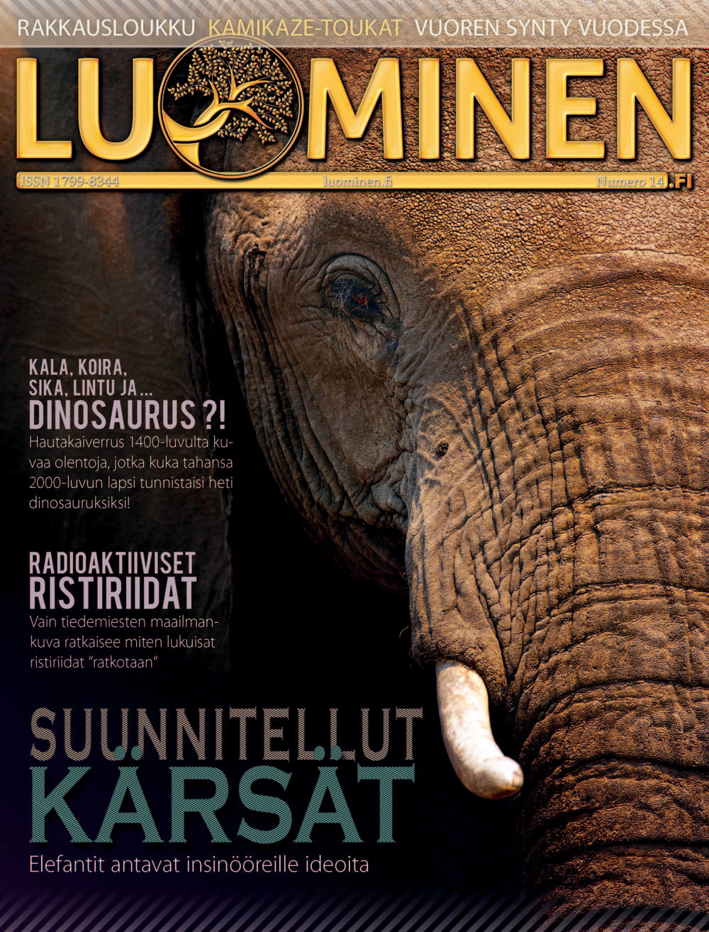 Luominen 14 kansikuva