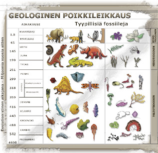 Geologinen poikkileikkaus fossiileista. Kuva ©: creation.com