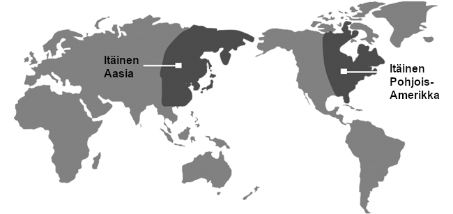 Kartta, jossa tummennettuna Itä-Aasia ja itäinen Pohjois-Amerikka. Kuva ©: creation.com