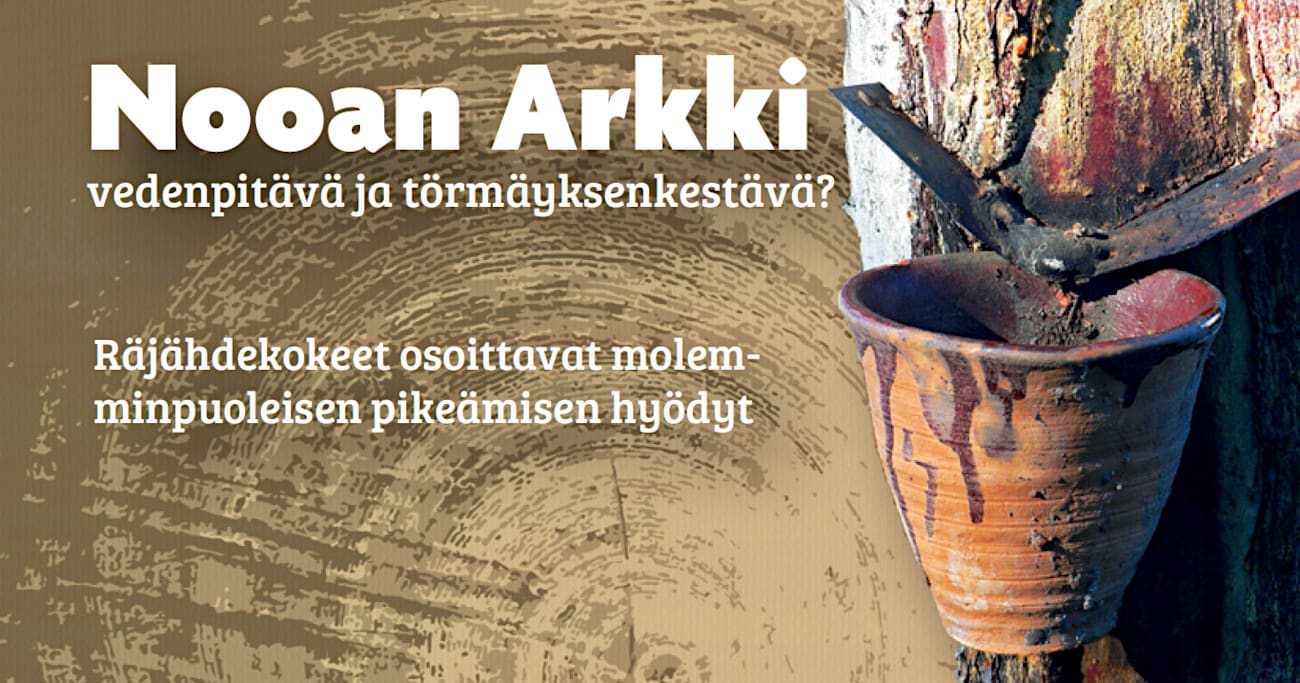Oikealla puusta valutetaan pihkaa saviruukkuun. Taustalla puun vuosirenkaita. Etualalla otsikko 'Nooan Arkki vedenpitävä ja törmäyksenkestävä? Räjähdekokeet osoittavat molemminpuoleisen pikeämisen hyödyt'