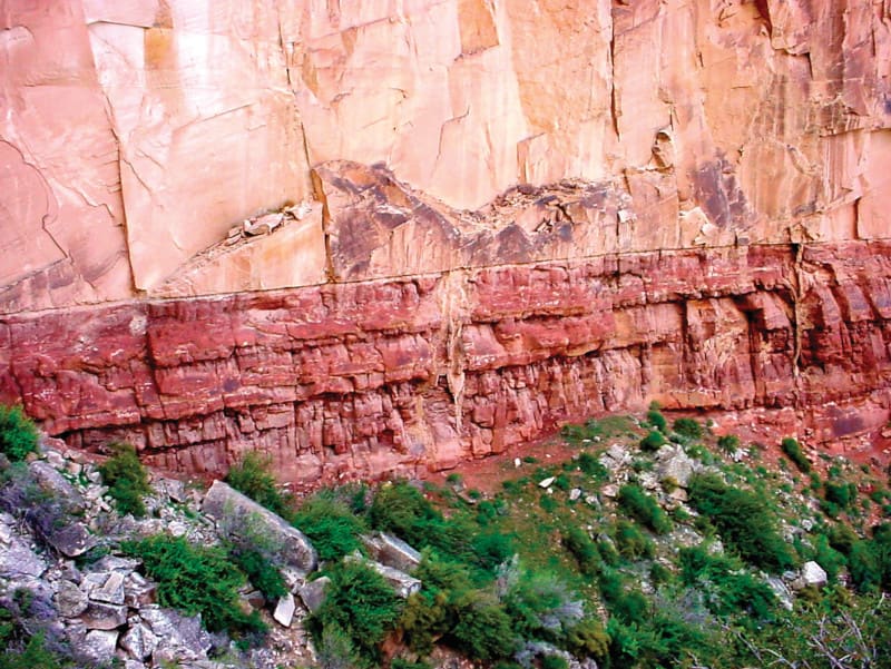 Grand Canyonin kivikerroksia. Kuva ©: John Hartnett
