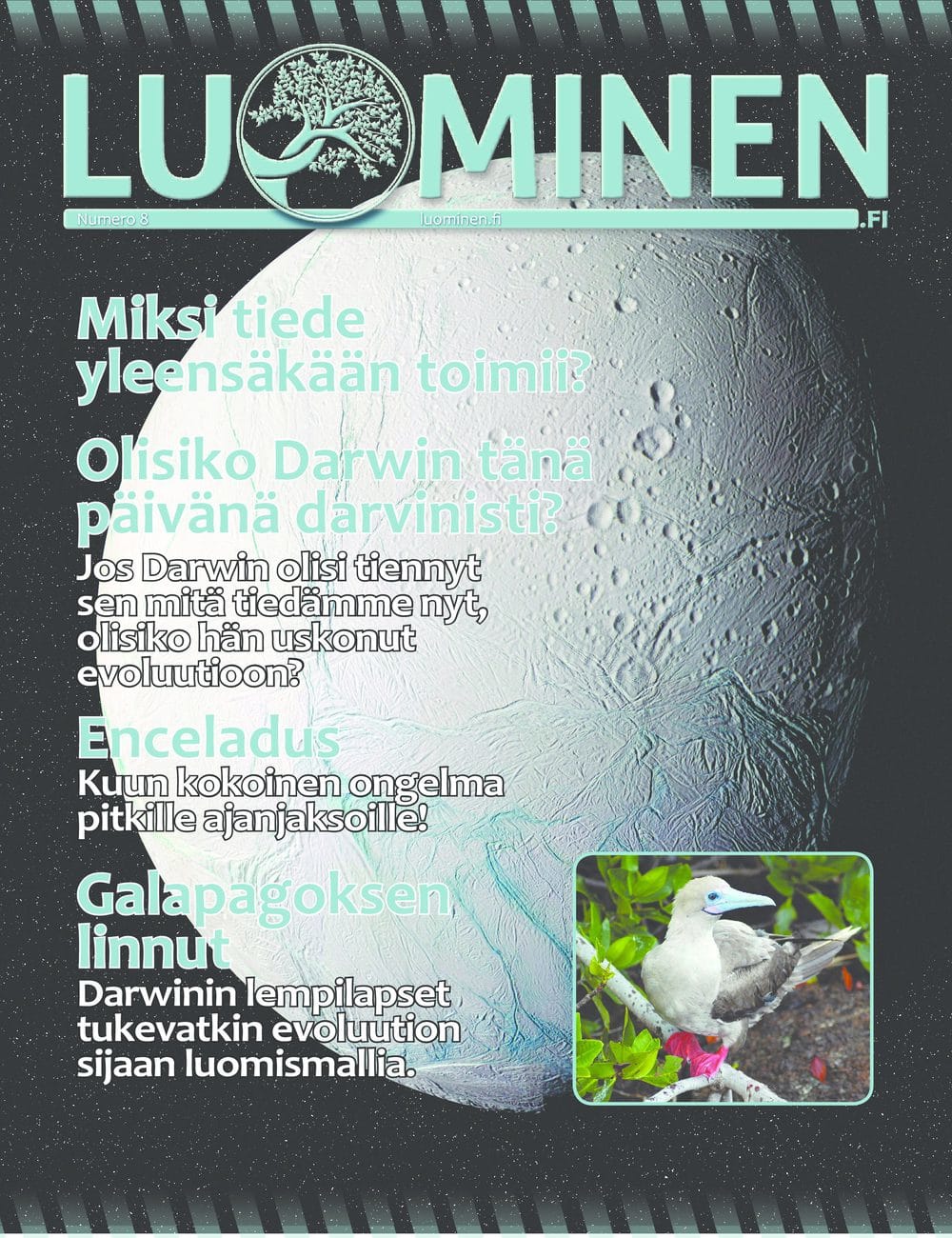 Luominen 8 kansikuva