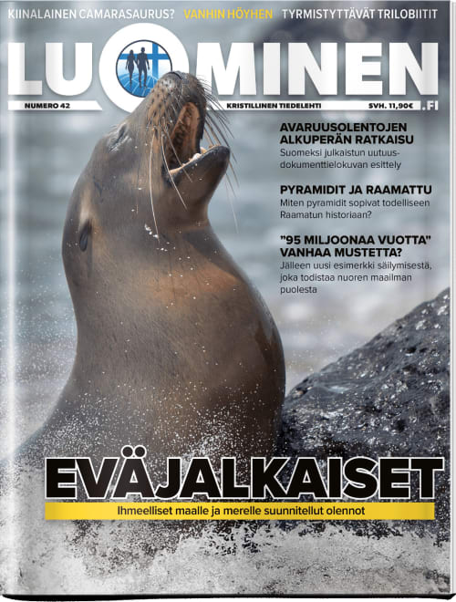 Artikkeli on julkaistu Luominen-tiedelehdessä 42.