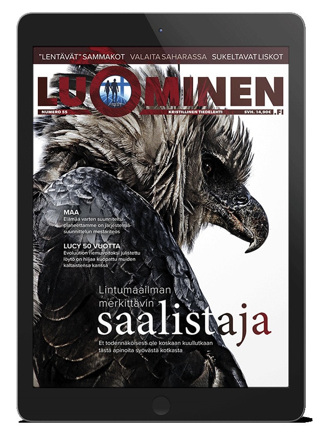 Luominen 55 -kansi tabletilla