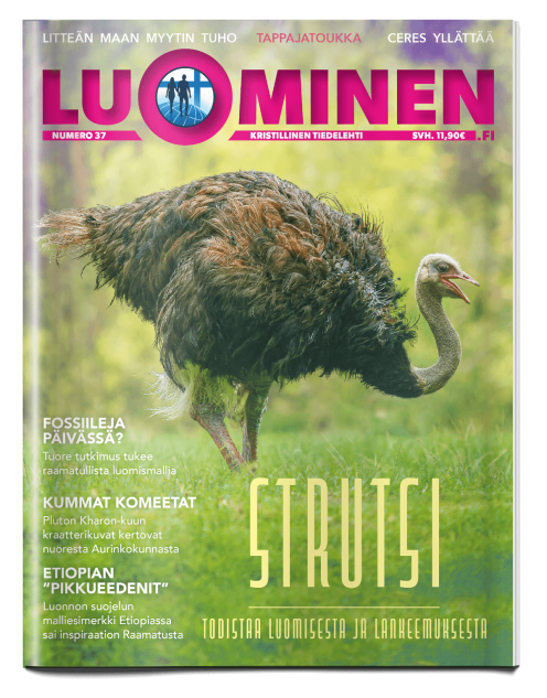 Artikkeli on julkaistu Luominen-tiedelehdessä 37