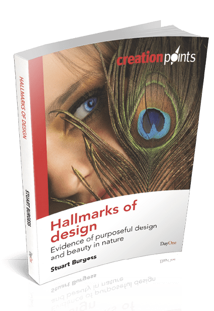 Artikkeli on muokattu Stuart Burgessin kirjasta Hallmarks of Design: evidence of purposeful design and beauty in nature