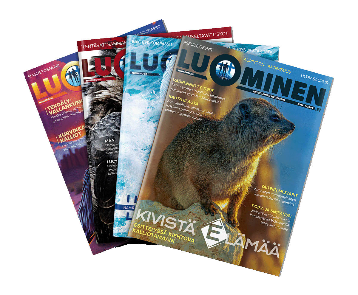 Luominen-lehtiä 4 kpl viuhkassa