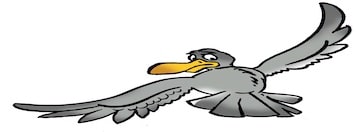 Lintu