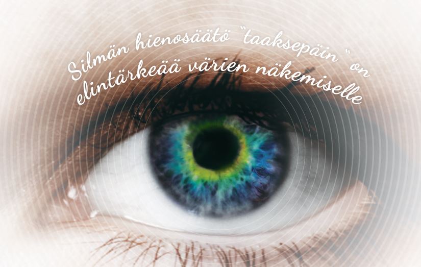 Silmän hienosäätö 'taaksepäin' on elintärkeää värien näkemiselle ©istock.com/fanelie rosier