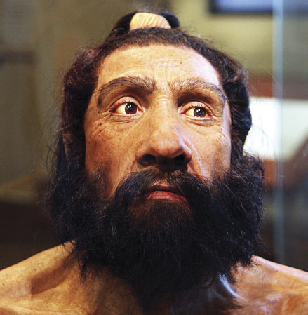 Shanidar 1 -fossiilin (neandertalilainen) pään rekonstruktio (John Gurche 2010). Shanidar 1 -fossiilin (neandertalilainen) pään rekonstruktio (John Gurche 2010).
