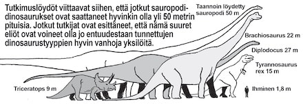 Eri dinosaurusten kokovertailua.