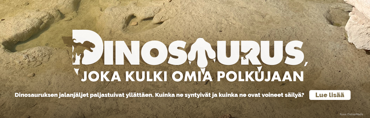 Dinosaurus, joka kulki omia polkujaan