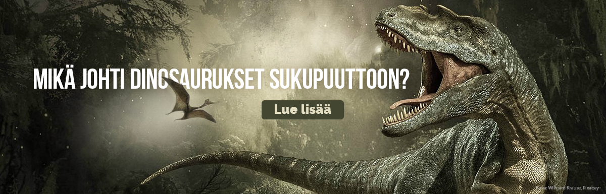 Mikä johti dinosaurukset sukupuuttoon?