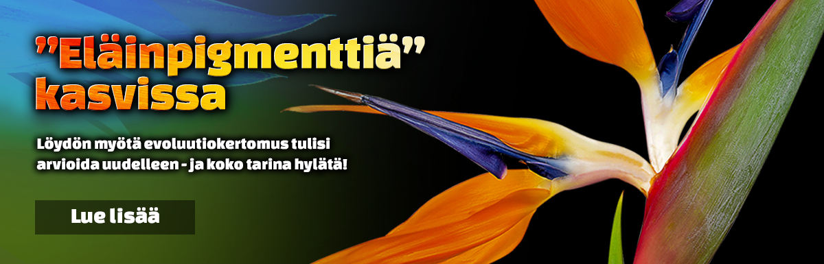 Pigmenttilöytö kolibrikukasta