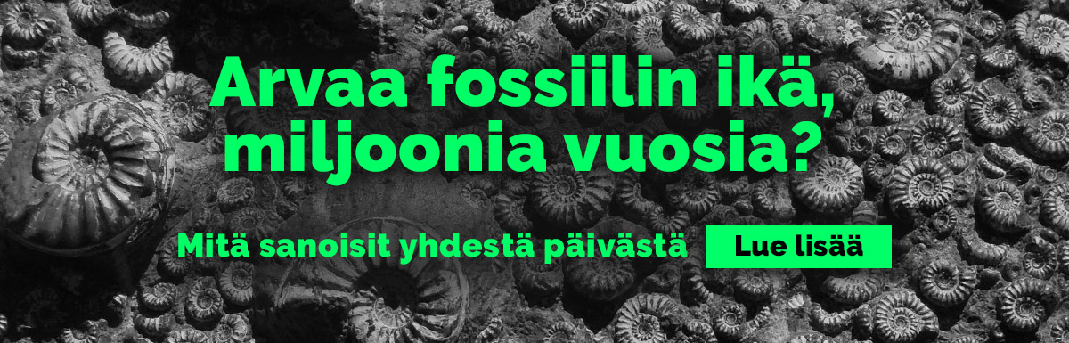 Fossiileja päivässä?
