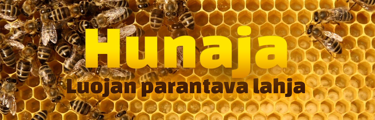 Hunaja - Parantava lahja Luojalta
