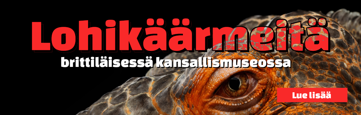Onko brittiläisessä kansallismuseossa lohikäärmeitä?